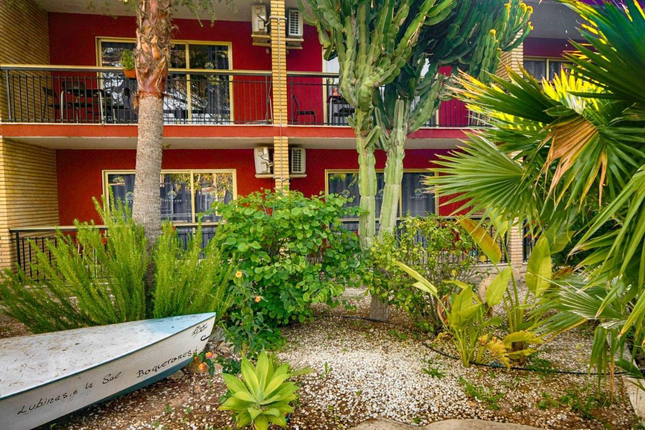 Apartamentos Palasiet Benidorm Luaran gambar